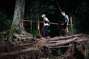 BIB: 
                            <button type="button" onclick="openModal(27391311)" class="btn btn-primary btn-sm float-right btn-popup" data-toggle="modal" data-target=".modal-high-quality">
                        <i class="fas fa-shopping-cart"></i> Add to Cart
                    </button>
                                            <button type="button" onclick="isThisMe(27391311, true)" class="btn btn-success btn-sm float-right btn-popup btn-isme hidden" data-toggle="tooltip" data-placement="bottom" title="นี่คือรูปของคุณใช่ไหม คลิกที่นี่เพื่อเอาเข้าอัลบั้ม">
                        <i class="fas fa-plus"></i> Add to album
                    </button>
                    <button type="button" onclick="isThisMe(27391311, false)" class="btn btn-warning btn-sm float-right btn-popup btn-isnotme hidden">
                        <i class="fas fa-ban"></i> Remove from album
                    </button>